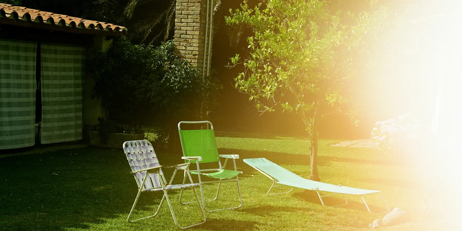 A back yard at golden hour