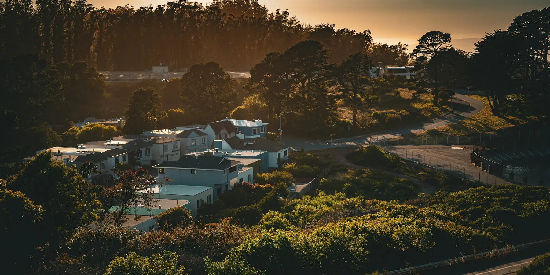 A neighbourhood of houses at golden hour
