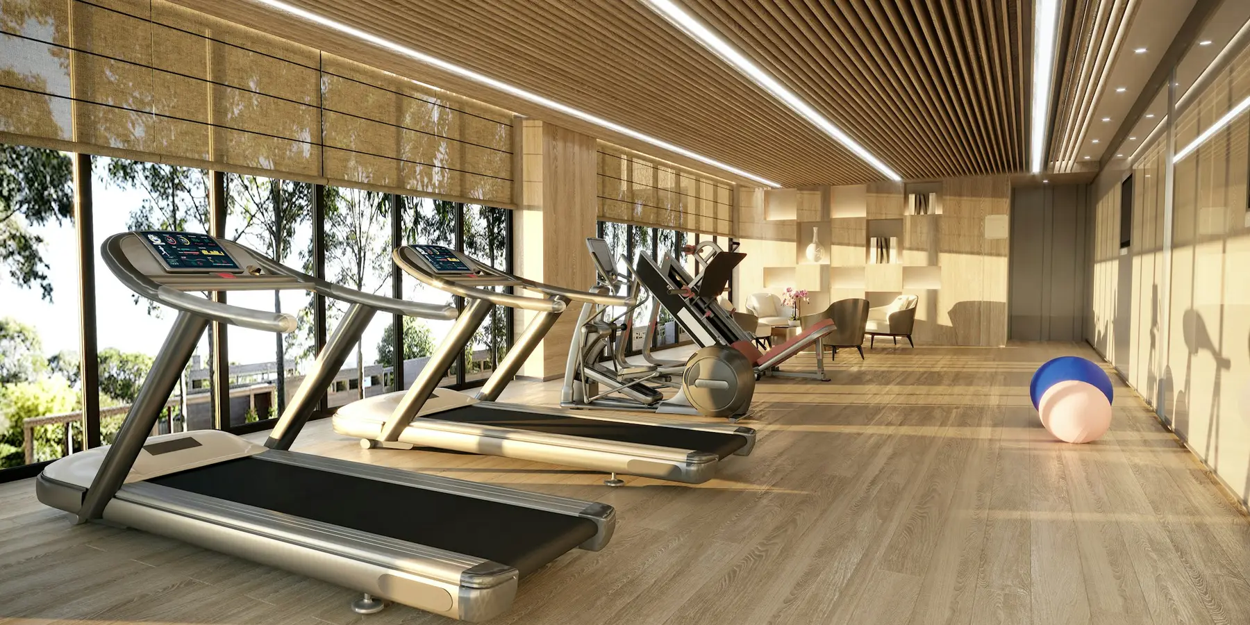 A daylit gym floor lined with cardio equipment